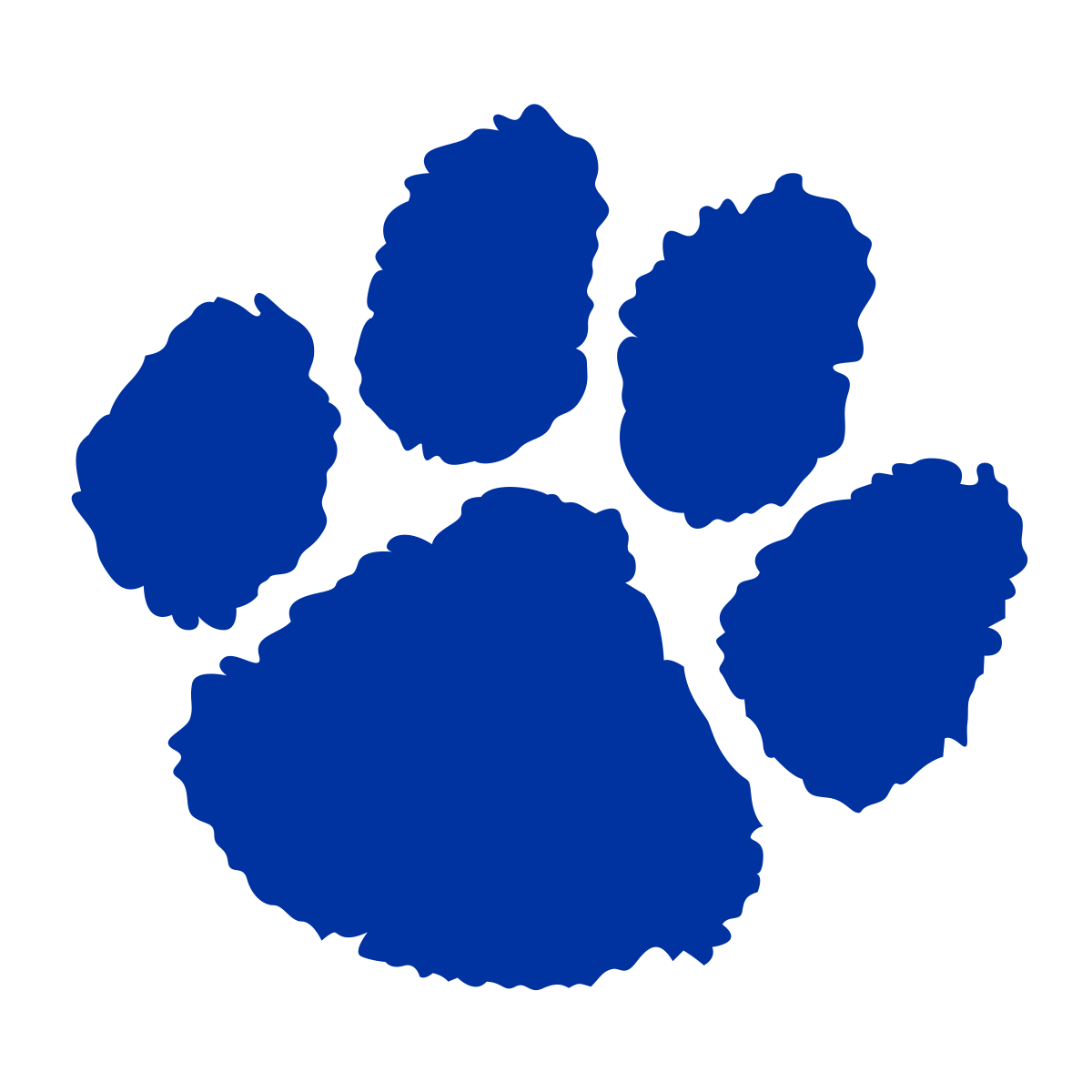 Athletics Brookhaven Academy